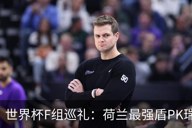 世界杯F组巡礼：荷兰最强盾PK瑞典犀利刀 日本短板明显