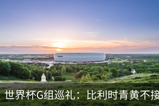 世界杯G组巡礼：比利时青黄不接 伊朗赴美参赛风波不断